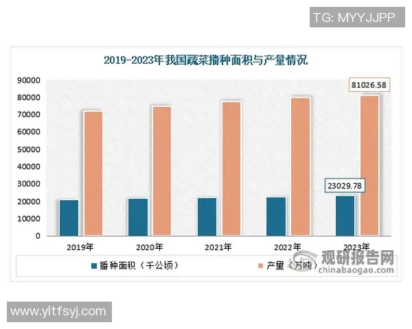 南京乒乓球队速度表现与欧冠足球数据分析的深度探讨与比较