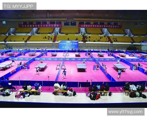 体育实时数据西安乒乓球队的训练与竞技状态全景揭秘乒乓球的魅力与挑战